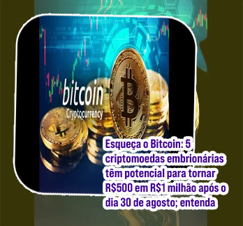Moedas promissoras agosto
